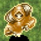 バウディ東北